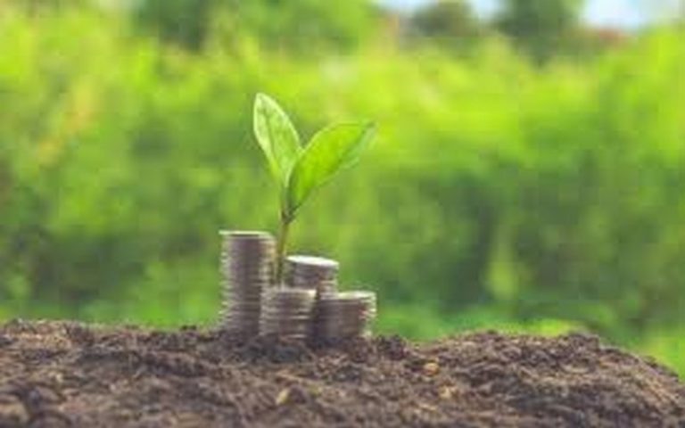 2ème émission d’obligations vertes souveraines : le Nigeria atteint 220%