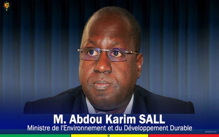 Vers une création de l’Agence sénégalaise de la reforestation