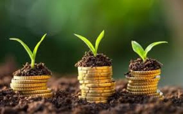 Climat : une réunion sur l’accès direct au financement organisée en Afrique du Sud