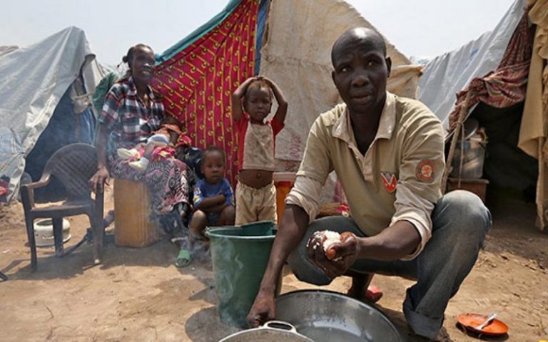 Des alternatives contre la crise alimentaires se multiplient en Afrique