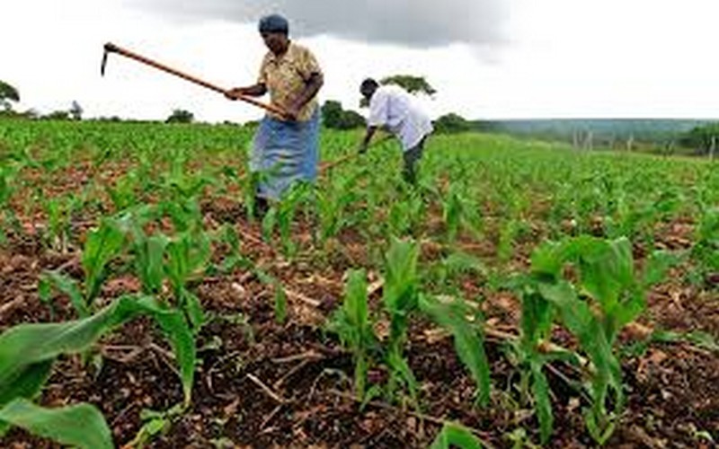 José Graziano da Silva appelle à « exploiter le potentiel des innovations agricoles »