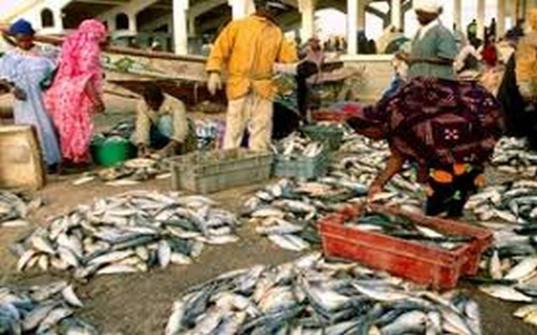 Pêche : l’ONG Greenpeace préoccupée par la sécurité alimentaire en Afrique de l’Ouest