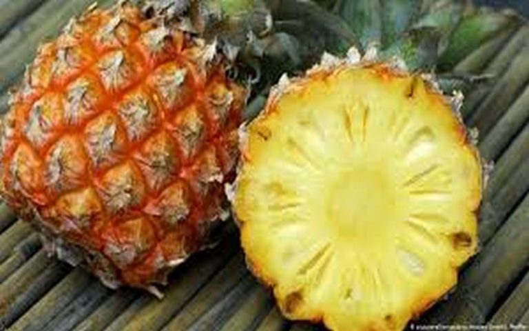 La Côte d’Ivoire et la BAD mobilisent 9,4 milliards FCFA pour des filières mangue et ananas
