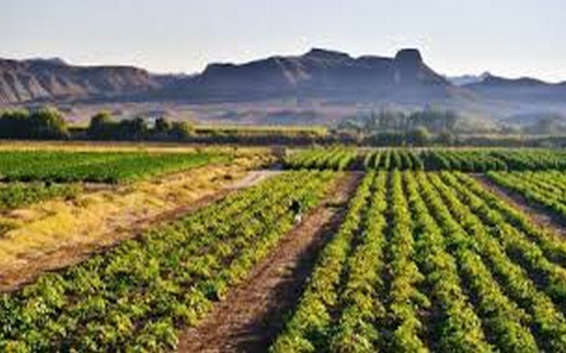 Le comité ad hoc qui travaillera sur la réforme foncière installée en Afrique du Sud