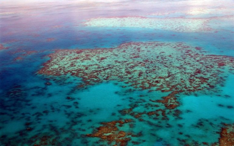 Le réchauffement climatique et l’azote, responsables de la mort des récifs coralliens
