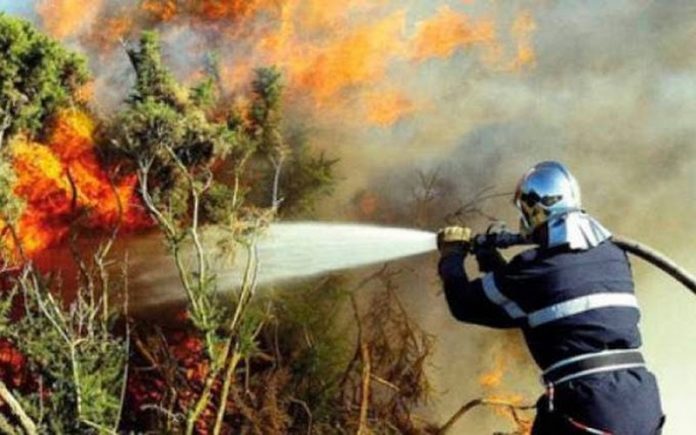 Les forêts algériennes ravagées par les incendies