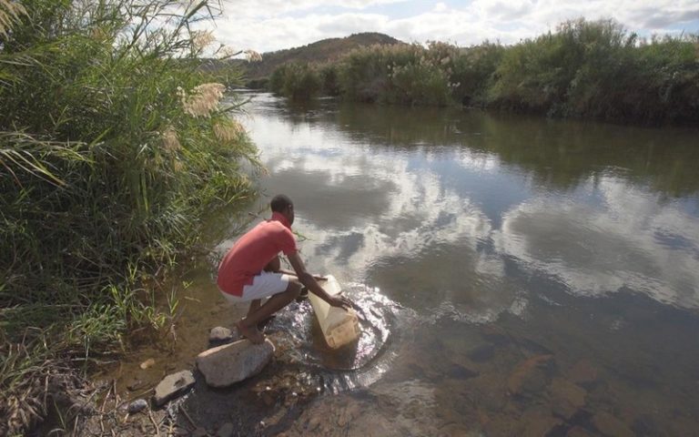 Secteur hydrique, préservation des forêts au cœur de l’adaptation climatique
