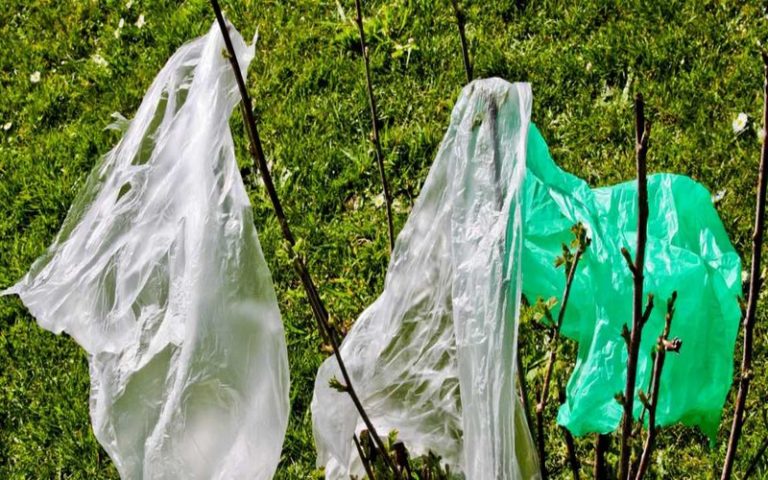 L’édition 2019 de la Journée mondiale sans sacs plastiques célébrée le 3 juillet