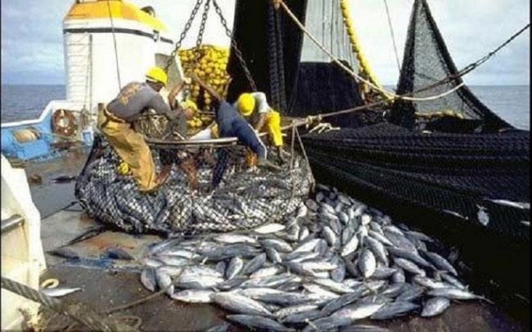 Madagascar sous le diktat de la surexploitation des ressources halieutiques