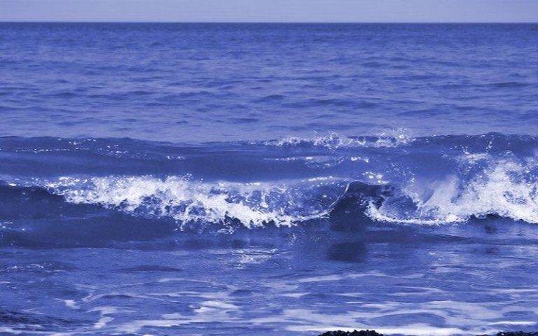 Biodiversité marine : le Sénégal accélère la ratification de l’accord BBNJ avec l’appui du PNUE