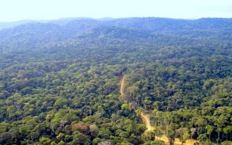 La conférence pour la préservation des forêts d’Afrique centrale organisée à Paris (France)