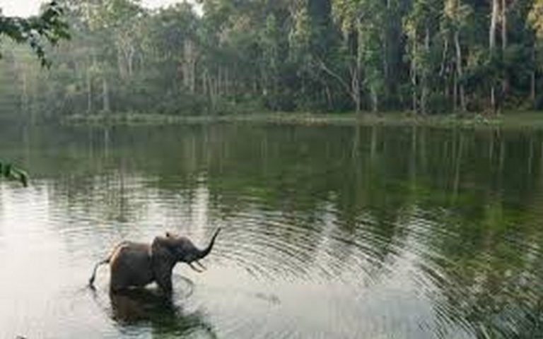 Un bloc pétrolier ouvert au marché par le gouvernement du Congo