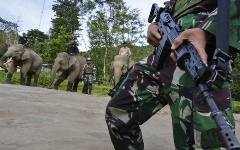 Genève (Suisse) : l’avenir des espèces menacées passé au peigne fin par le CITES