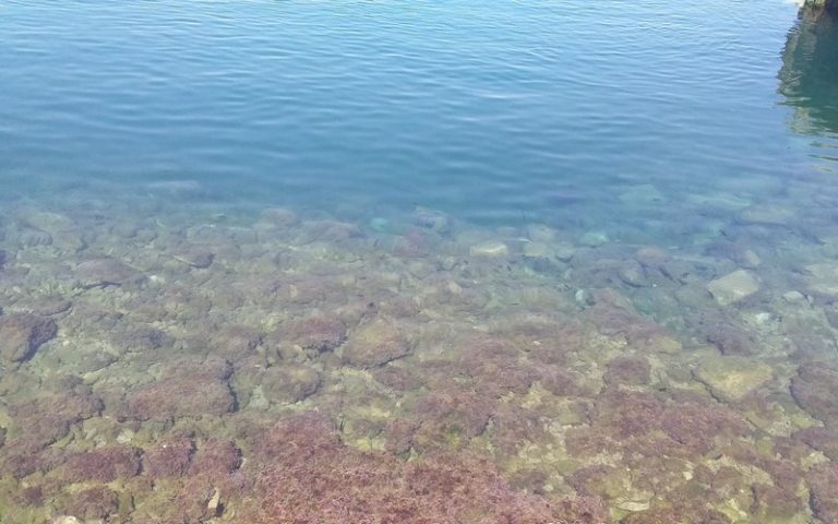 La Tunisie est-elle frappée par une limite des ressources en eau ?