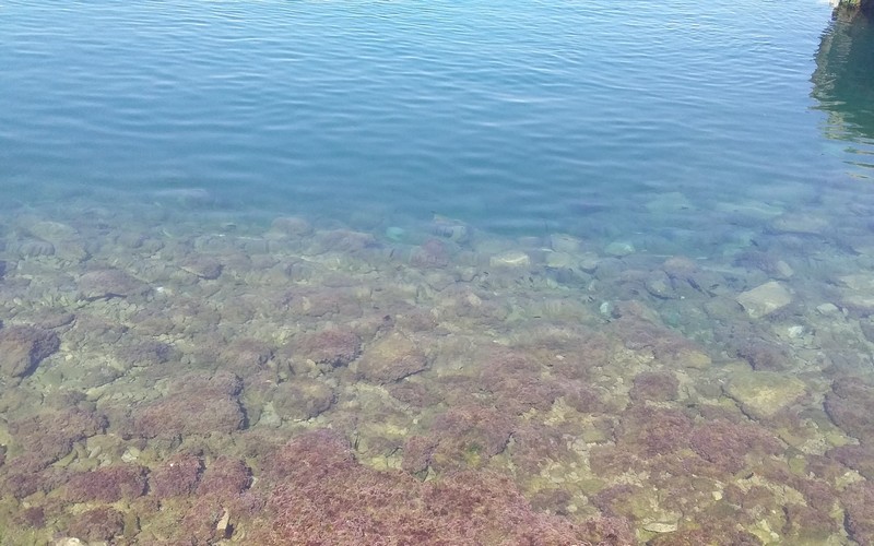 La Tunisie est-elle frappée par une limite des ressources en eau ?