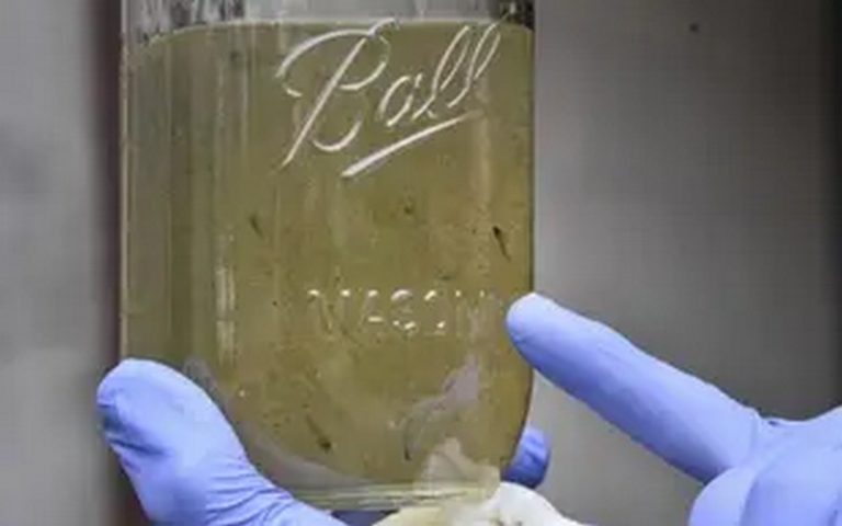 La présence de microplastiques dans l’eau potable est pour l’instant sans danger pour la santé