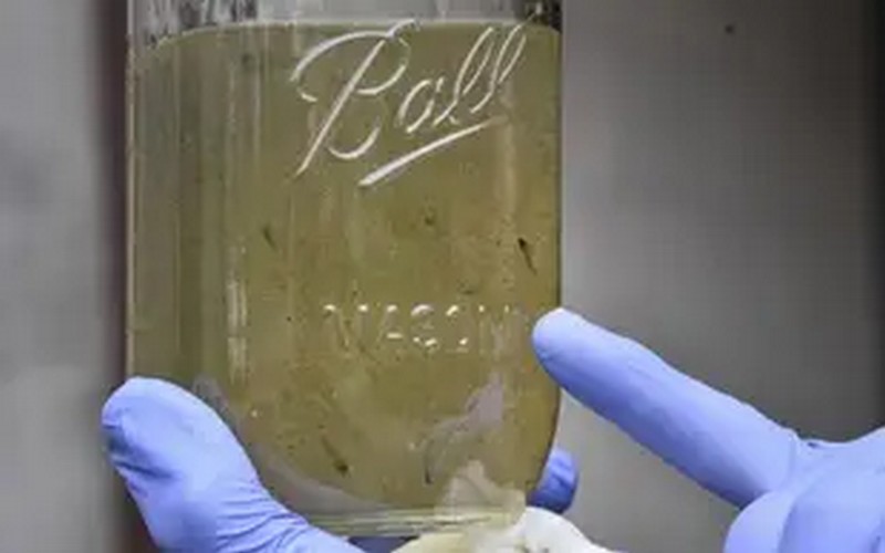 La présence de microplastiques dans l’eau potable est pour l’instant sans danger pour la santé