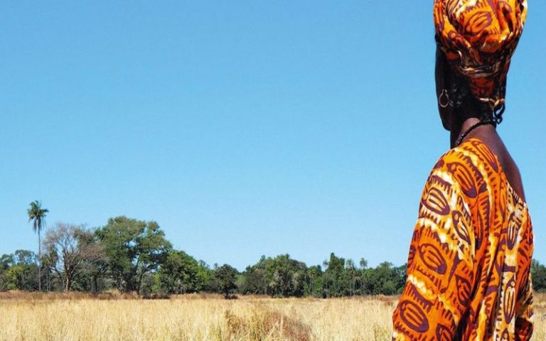 La souveraineté alimentaire, unique arme pour l’Afrique contre le chaos climatique
