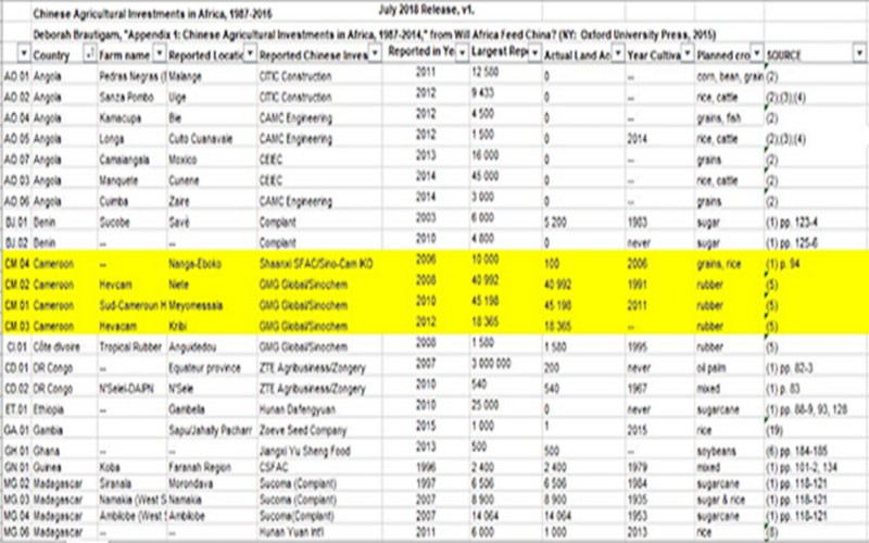 Le Cameroun, pays africain dans lequel la Chine a le plus investi sur les terres agricoles