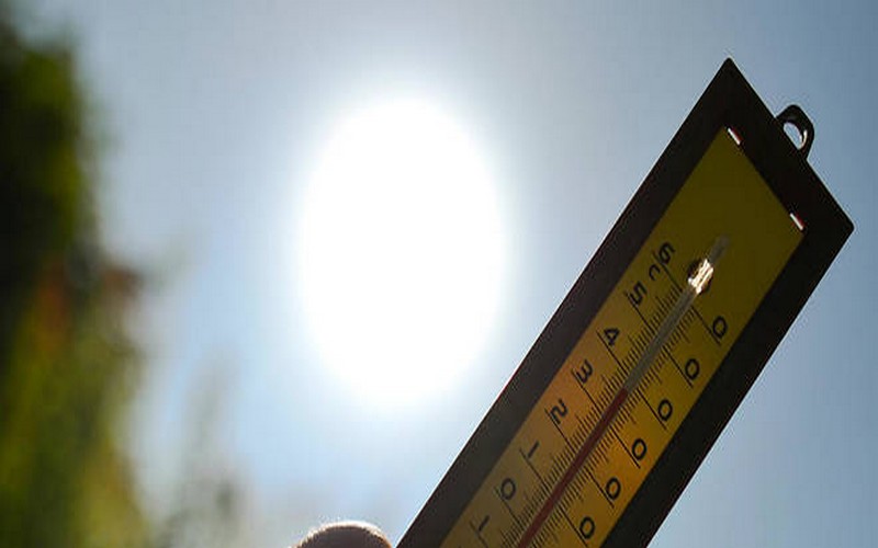 Le mois de juillet 2019 bat le record de chaleur jamais enregistré dans le monde