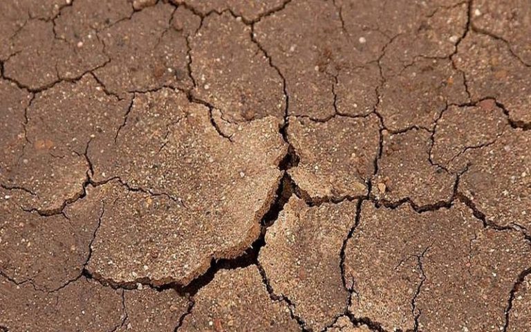 Le rapport alarmant du GIEC sur la famine et le réchauffement climatique