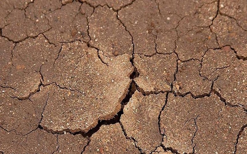 Lutte pour le climat : le combat reste toujours ardu en Afrique