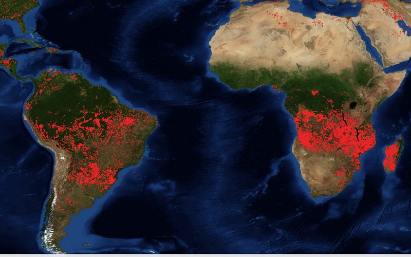 Les feux de forêt, moins inquiétants en Afrique qu’en Amazonie