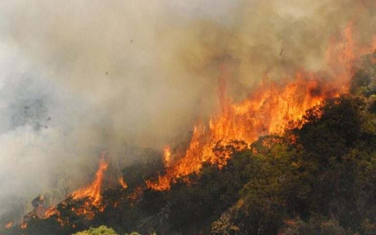 L’Afrique n’est pas épargnée par les feux de forêt