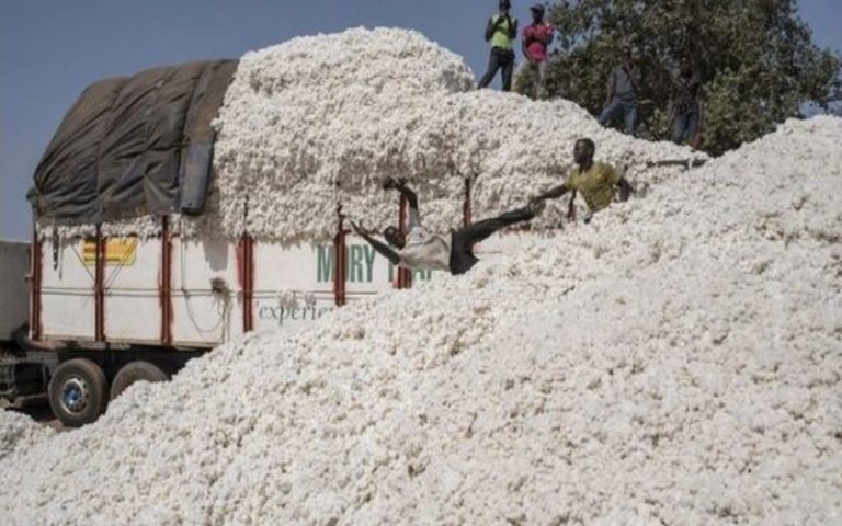 Production du coton : l’UEMOA s’inspire de l’expérience du Bénin