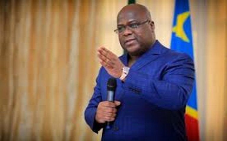 Un manque d’« énergie propre et renouvelable constitue une menace directe pour nos forêts », se désole Félix Tshisekedi