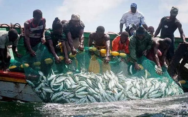 Un réseau sous-régional de lutte contre les usines de farine de poisson bientôt créé