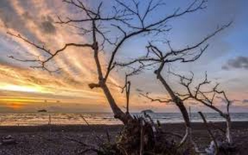 Vers l’élaboration d’un Plan national d’adaptation aux phénomènes climatiques au Zimbabwe