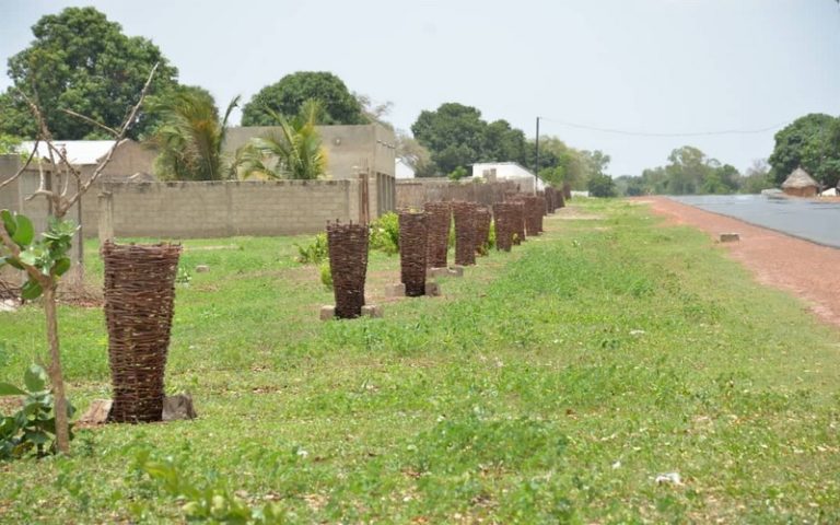 Le suivi de nos plants se fait beaucoup plus dans les villages et les écoles, souligne Mariama Diallo