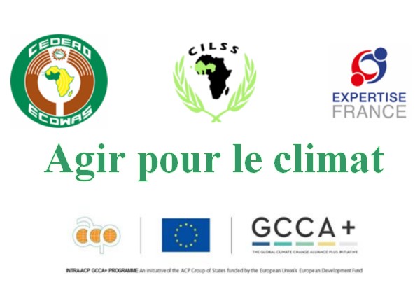 Agir pour le climat : la CEDEAO lance une réflexion régionale