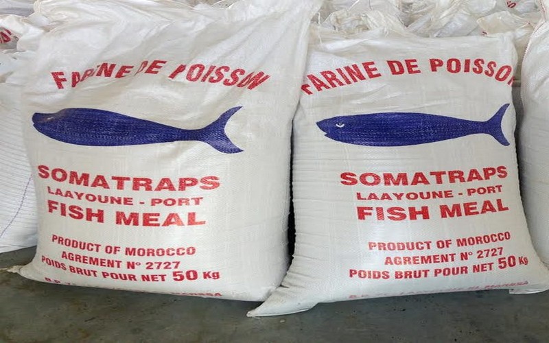 Greenpeace alerte sur les menaces des usines de production de farines de poissons