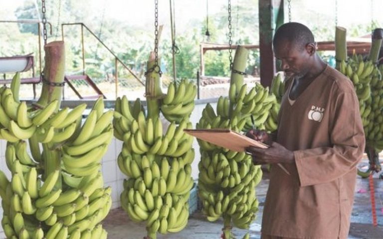 La cohérence de l’Europe en Afrique dans le partenariat agricole UE-UA mise en doute