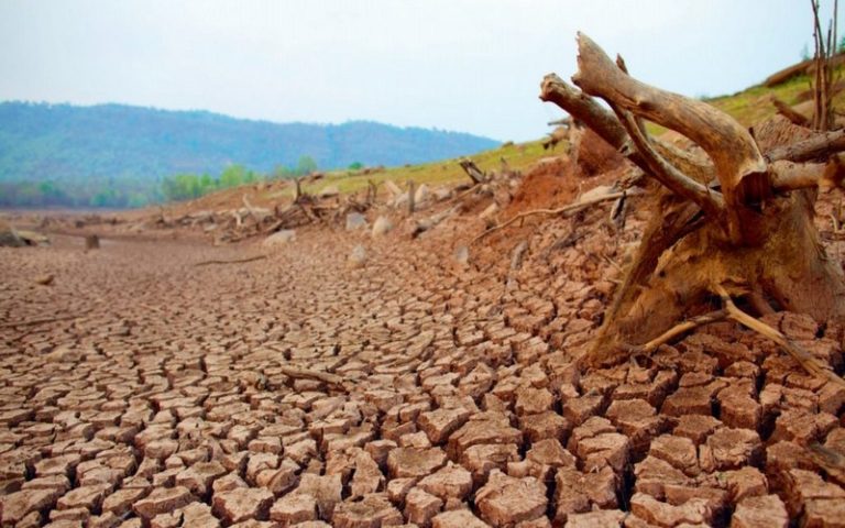 La désertification menace un tiers des terres dans le monde