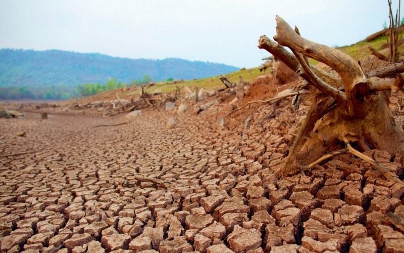 La désertification menace un tiers des terres dans le monde