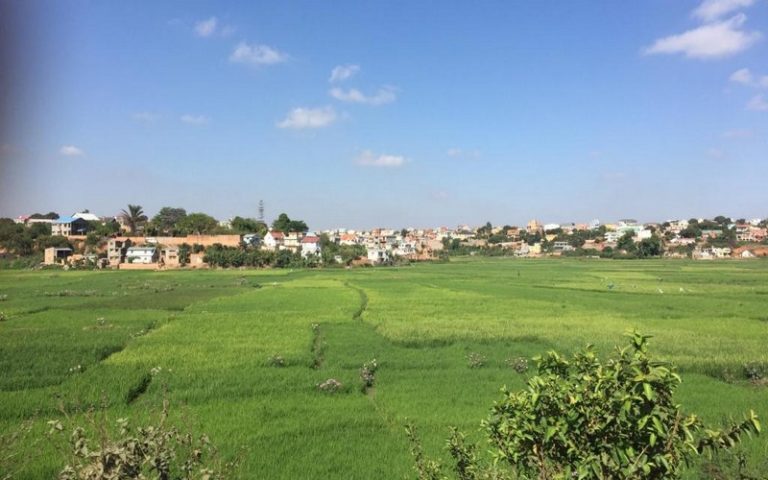 La restructuration pénible de l’agriculture malgache qui peine à nourrir les populations