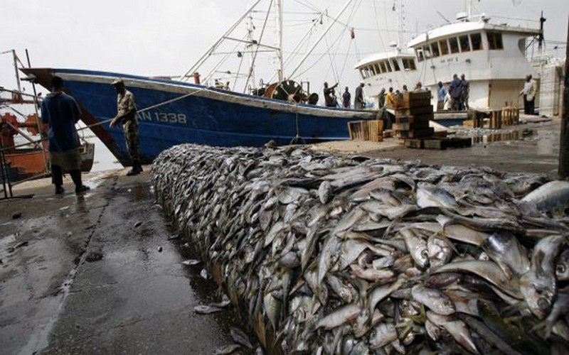 Le Congo se dote des agences de développement de l’agriculture et de la pêche
