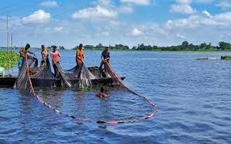 Le commerce équitable du poisson pour renforcer la nutrition