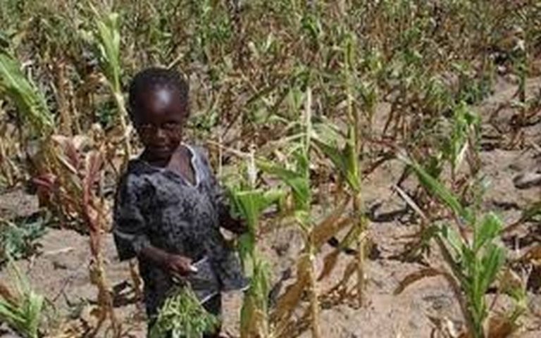 Le gouvernement du Zimbabwe déclare l’état d’urgence suite à la grave sécheresse