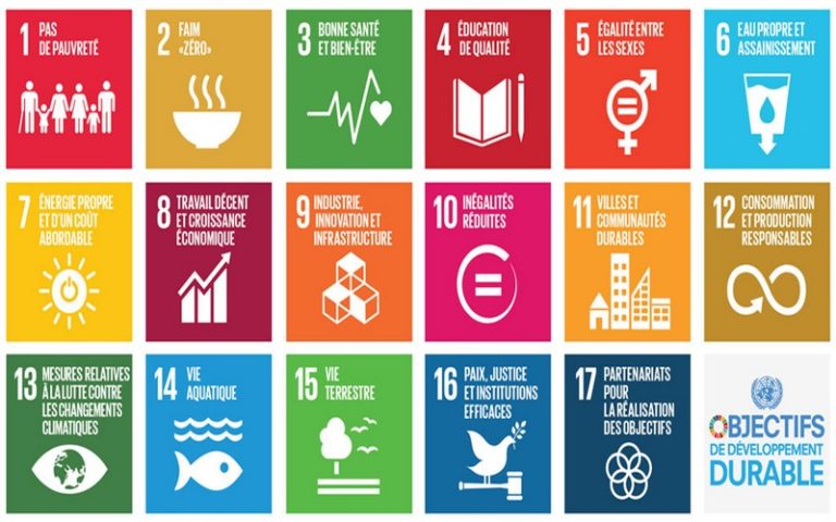 Les pays en voie de développement entre l’atteinte des ODD 4 et 5 de l’agenda 2030 et innovation technologique