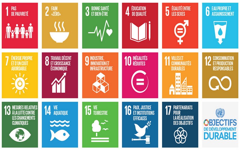 Les pays en voie de développement entre l’atteinte des ODD 4 et 5 de l’agenda 2030 et innovation technologique