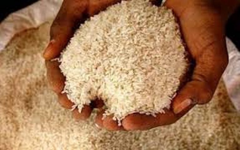 L’ONU s’inquiète de la hausse du nombre des personnes menacées par l’insécurité alimentaire d’ici à  mars 2020 en Afrique australe