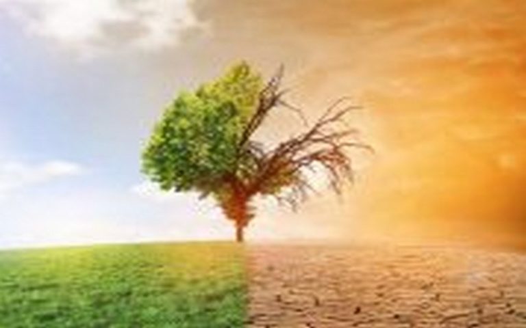 Sénégal : la transition écologique au menu des échanges entre multinationales et start-ups