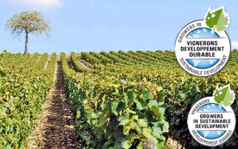 Agriculture : la RSE, socle de l’innovation et de la performance