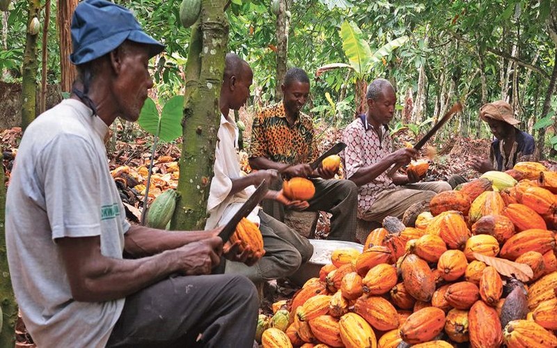 Cacao : les chocolatiers de nouveau dans le viseur de la Côte d’Ivoire et du Ghana