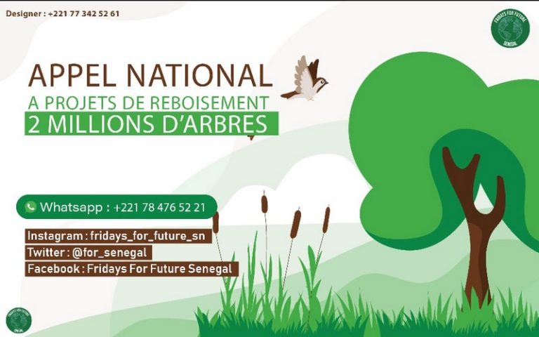 Climat : « Fridays For Future Sénégal » envisage reboiser 2 millions d&rsquo;arbres à travers le territoire national