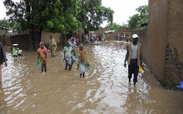 Cameroun-Extrême-Nord : un spectre de famine se dessine à Bilé et Louvol